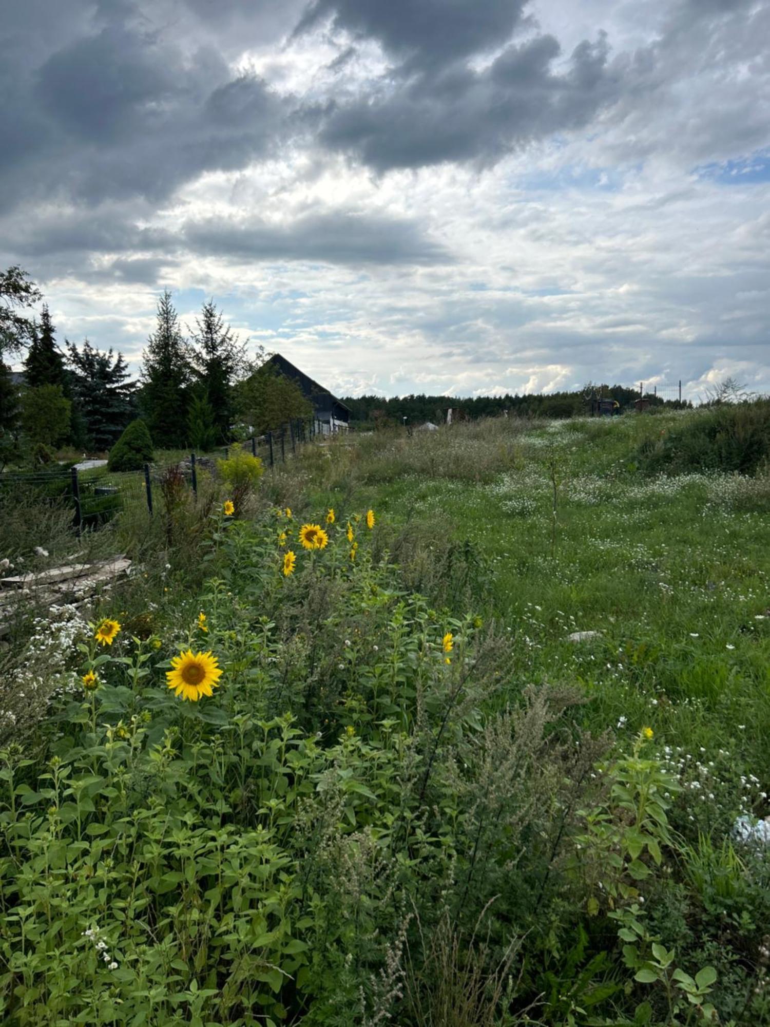 Appartamento Nowa Stodola Koniec Swiata Mikołajki Esterno foto